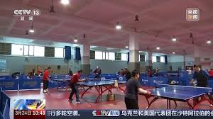 2026国际足联世界杯 室内健身器座椅